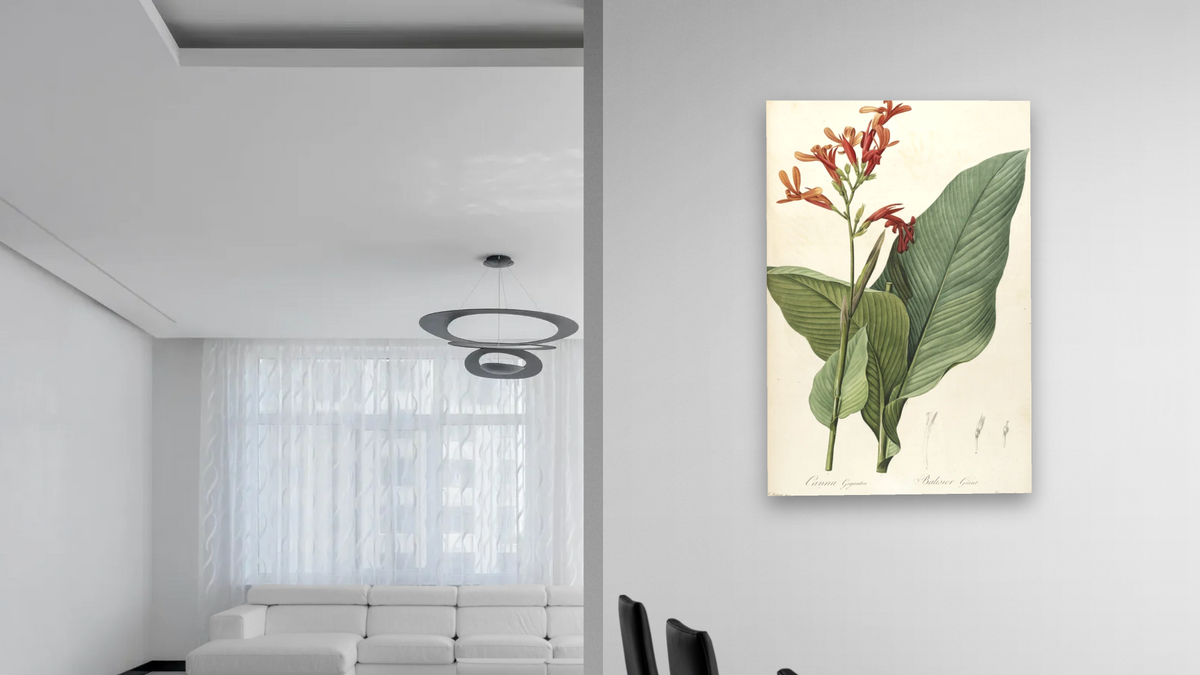 A botanical illustration with the title "Canna gigantea". It depicts the species Canna tuerckheimii. by Pierre Joseph Redouté, shown at 28 × 42 in (71.1 × 106.7 cm) as gallery-wrapped canvas, dining