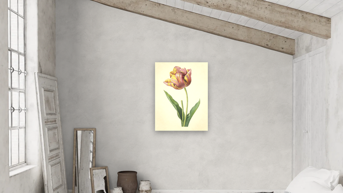 Tulipa Culta (Cultivated Tulip), Choix des Plus Belles Fleurs et Des Plus Beaux Fruits by Pierre Joseph Redouté, shown at 30 × 40 in (76.2 × 101.6 cm) as gallery-wrapped canvas, bedroom