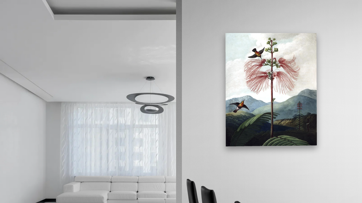 Large Flowering Sensitive Plant by Robert John Thornton, shown at 32 × 40 in (81.3 × 101.6 cm) as gallery-wrapped canvas, dining