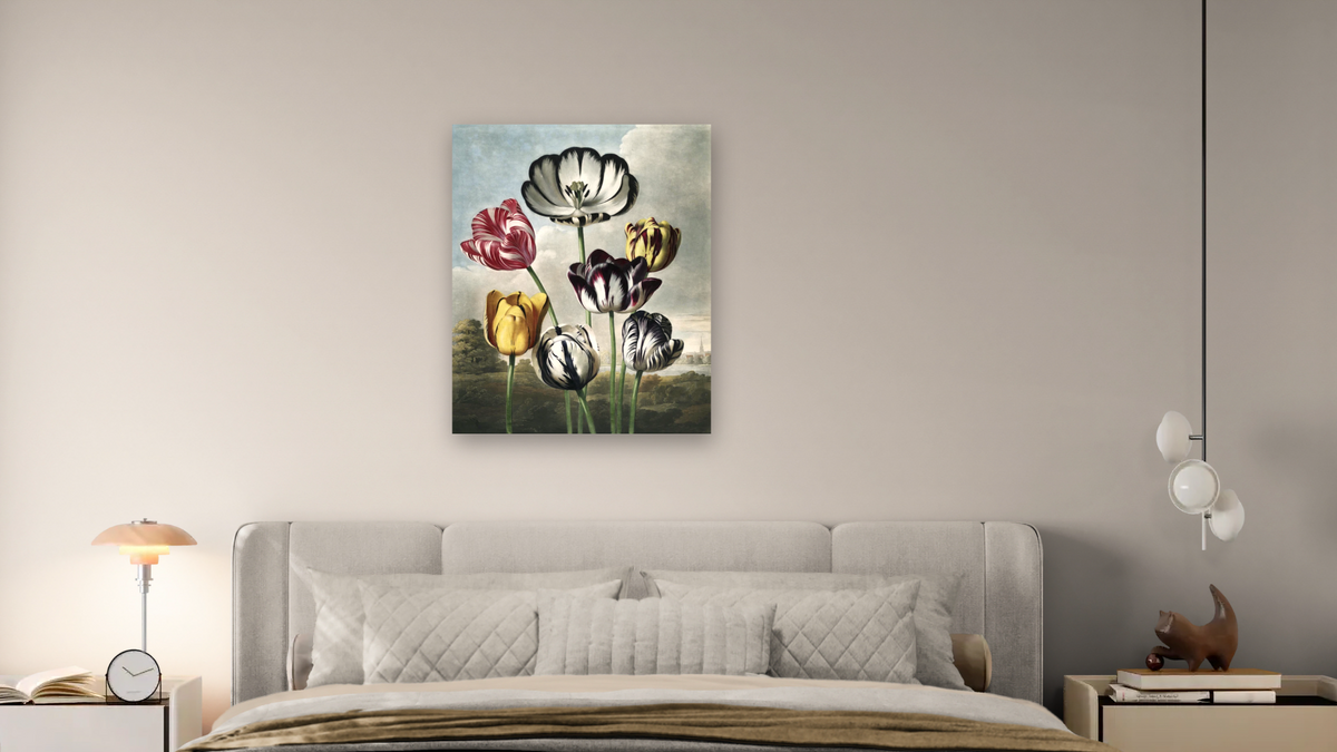 Tulips by Robert John Thornton, shown at 32 × 40 in (81.3 × 101.6 cm) as gallery-wrapped canvas, bedroom