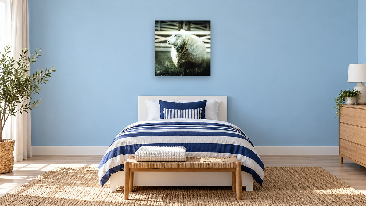 sheep by Brandon Luther, shown at 32 × 32 in (81.3 × 81.3 cm) as gallery-wrapped canvas, kids' room