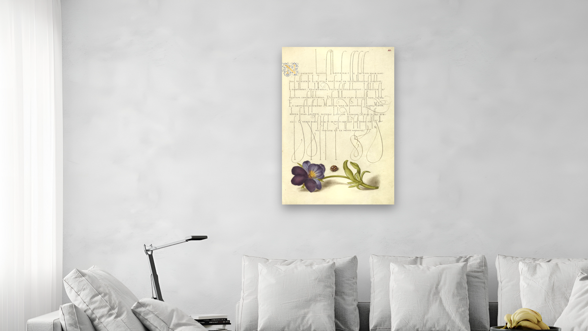 Ladybird and European Wild Pansy by Joris Hoefnagel and Georg Bocskay, shown at 28 × 42 in (71.1 × 106.7 cm) as gallery-wrapped canvas, living