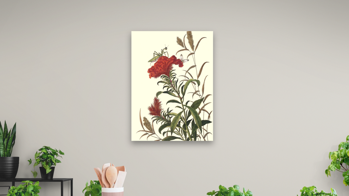 Cockscomb with praying mantis by Pierre Joseph Buchoz, shown at 30 × 40 in (76.2 × 101.6 cm) as gallery-wrapped canvas, dining