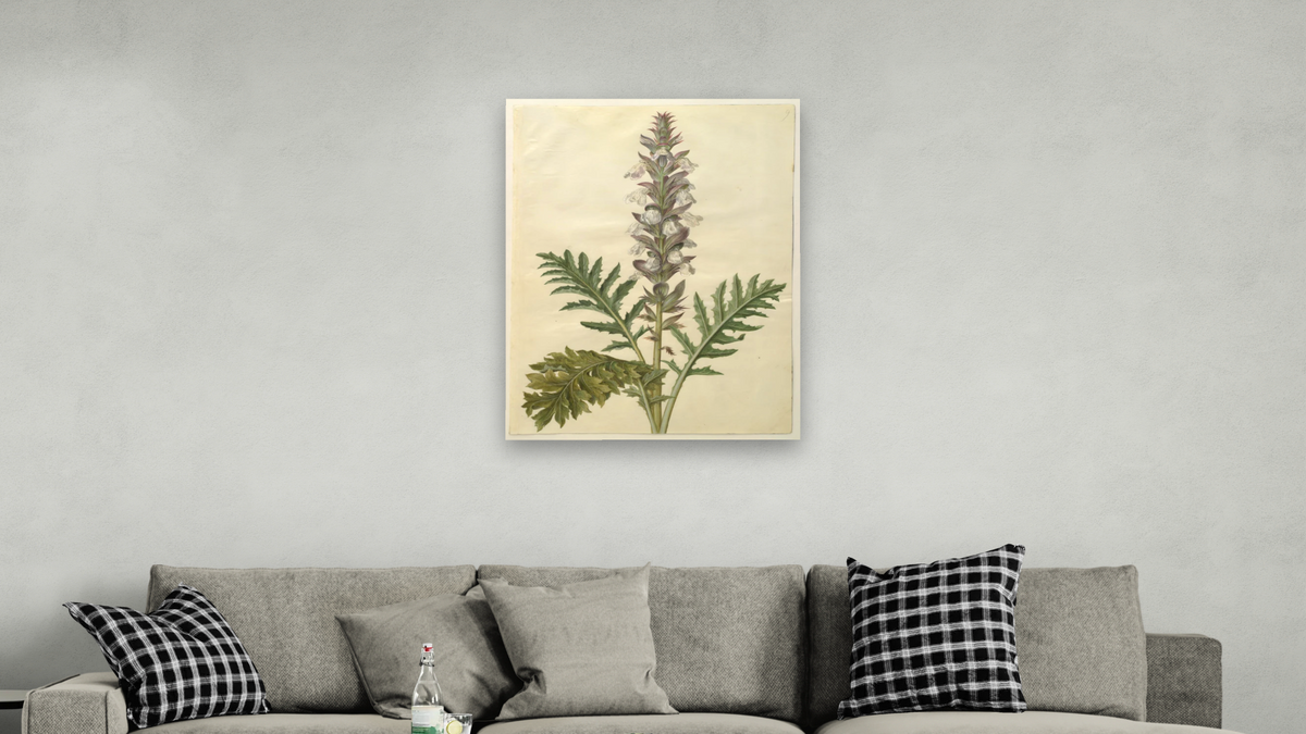 Acanthus mollis by Johannes Simon Holtzbecher, shown at 30 × 40 in (76.2 × 101.6 cm) as gallery-wrapped canvas, living