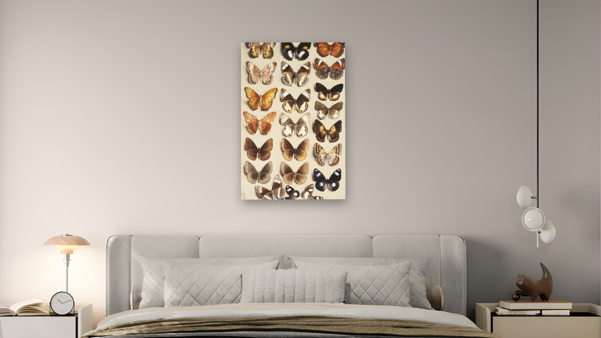 Twenty-two butterflies in three columns, all belonging to the family Nymphalidae by Marian Ellis Rowan, shown at 28 × 42 in (71.1 × 106.7 cm) as gallery-wrapped canvas, bedroom