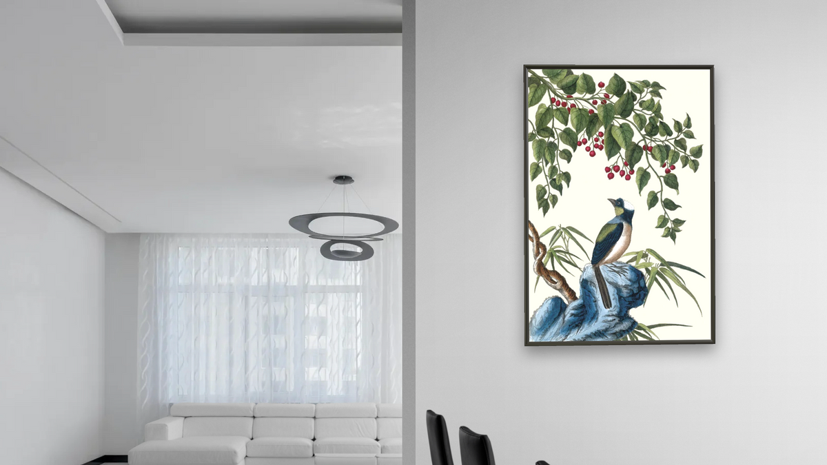 Smilax with bird by Pierre Joseph Buchoz, shown at 28 × 42 in (71.1 × 106.7 cm) on canvas in Ramino Satin Black, dining