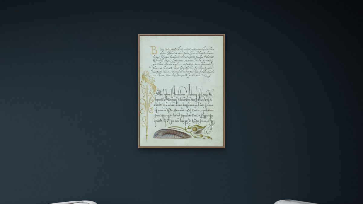 Noah's Ark Shell and Sneezewort by Joris Hoefnagel and Georg Bocskay, shown at 30 × 40 in (76.2 × 101.6 cm) on canvas in Arber Raw Oak, office