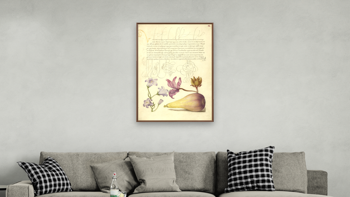 Rampion, Dittany, and Pear by Joris Hoefnagel and Georg Bocskay, shown at 28 × 42 in (71.1 × 106.7 cm) on canvas in Arber Warm Walnut, living
