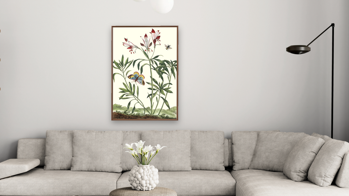 Alstromeria with butterfly by Pierre Joseph Buchoz, shown at 28 × 42 in (71.1 × 106.7 cm) on canvas in Arber Warm Walnut, living