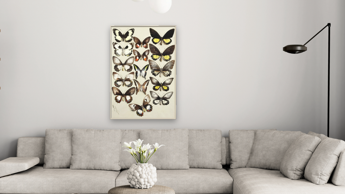 Fifteen Swallowtail butterflies (Family Papilionidae) in three columns by Marian Ellis Rowan, shown at 28 × 42 in (71.1 × 106.7 cm) on canvas in Ramino Opaque White, living