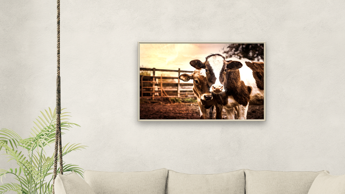 Pals III by Brandon Luther, shown at 28 × 42 in (71.1 × 106.7 cm) on canvas in Ramino Opaque White, living