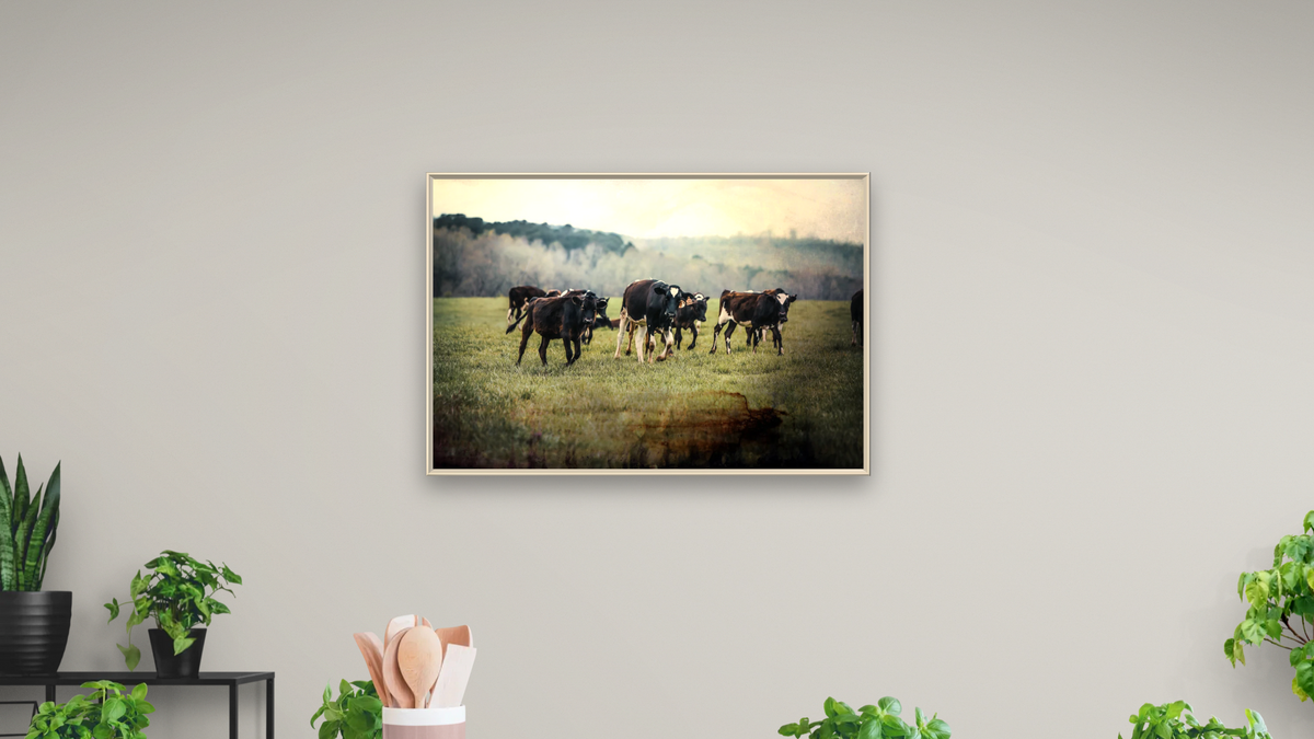 Greet ll by Brandon Luther, shown at 28 × 42 in (71.1 × 106.7 cm) on canvas in Ramino Opaque White, dining