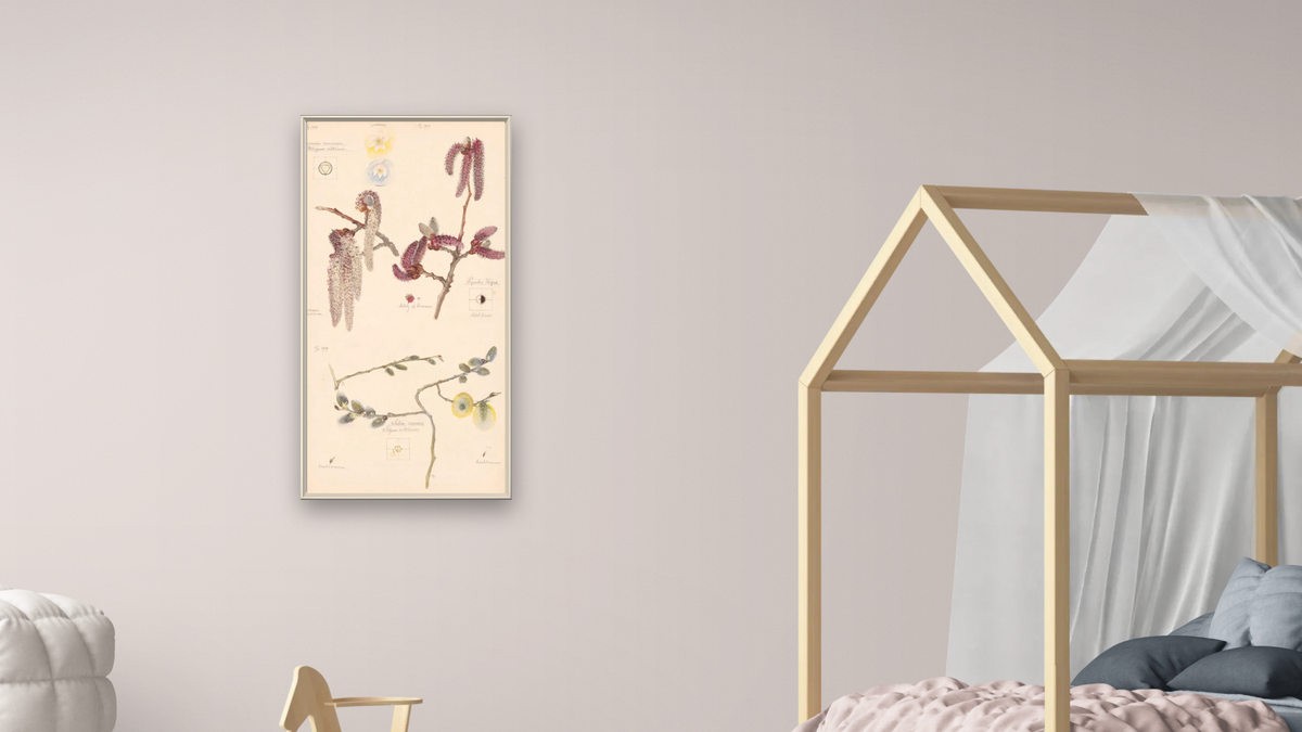 moma0018.tif by Hilma af Klint, shown at 20 × 40 in (50.8 × 101.6 cm) on canvas in Ramino Opaque White, bedroom