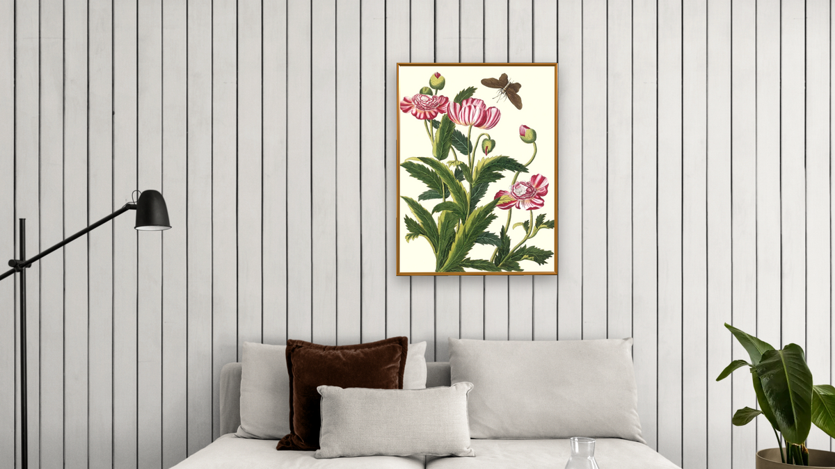 Red and white striped poppy with moth by Pierre Joseph Buchoz, shown at 30 × 40 in (76.2 × 101.6 cm) on canvas in Molto Polished Gold, living
