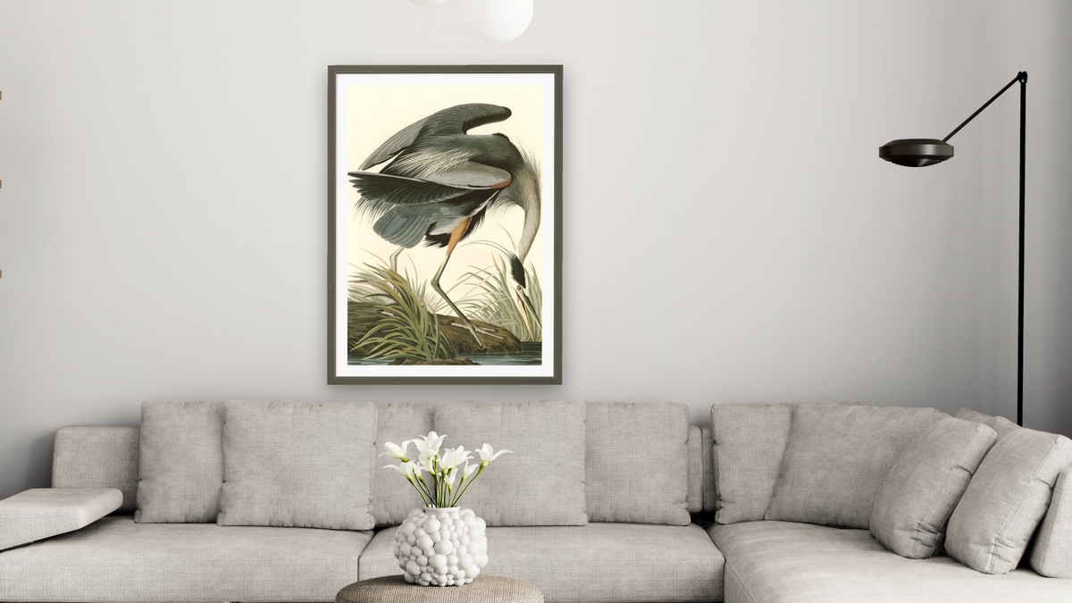 Great Blue Heron by John James Audubon, shown at 28 × 42 in (71.1 × 106.7 cm) in Ramino Satin Black, living