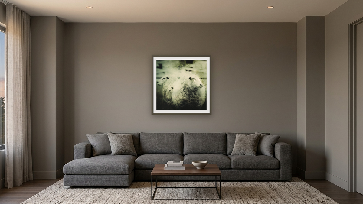 one sheep front by Brandon Luther, shown at 32 × 32 in (81.3 × 81.3 cm) in Ramino Satin Black, media room