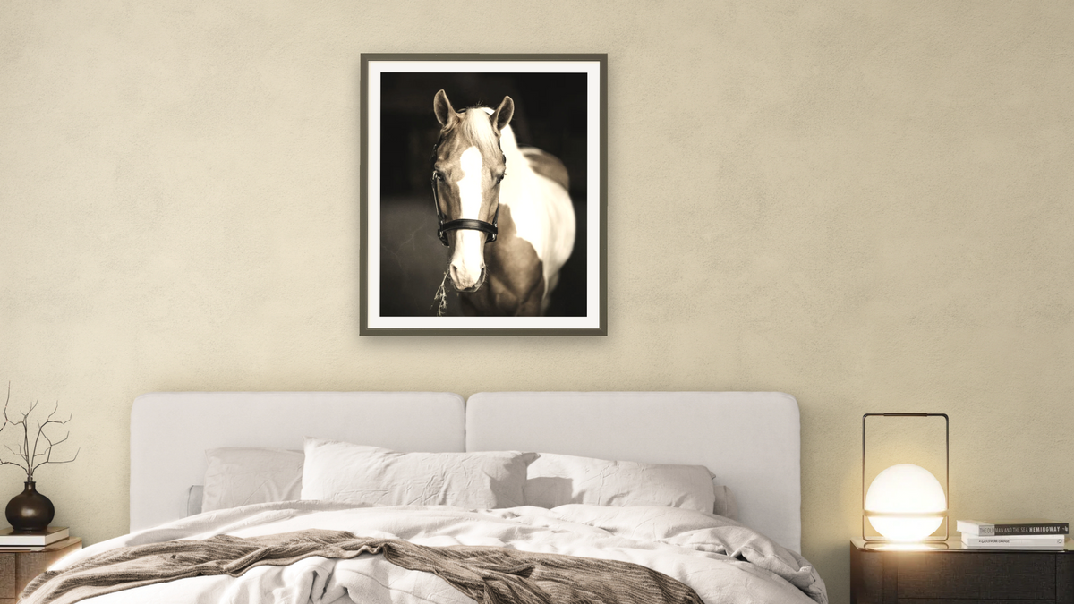 Scout by Brandon Luther, shown at 32 × 40 in (81.3 × 101.6 cm) in Ramino Satin Black, bedroom