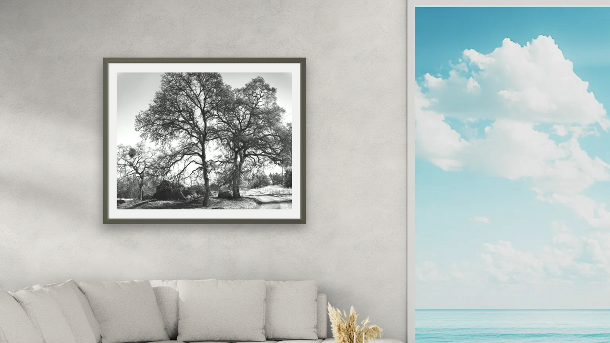 Three Oaks and Boulder by Gordon Osmundson, shown at 32 × 40 in (81.3 × 101.6 cm) in Ramino Satin Black, living