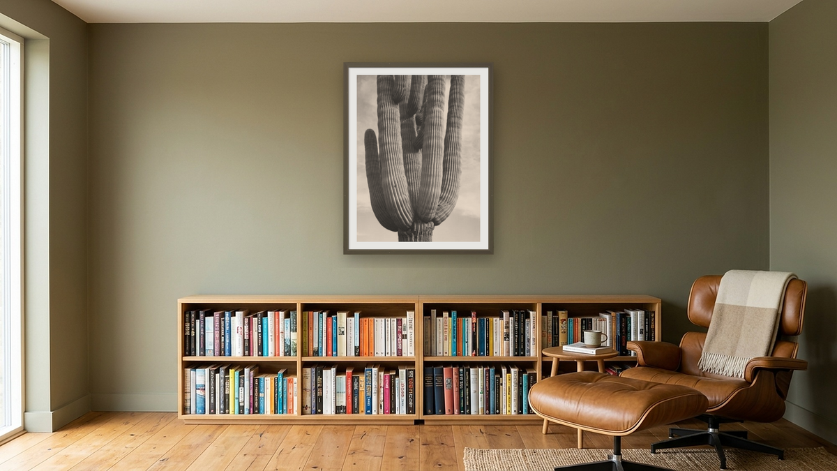 Saguaros, Saguaro National Monument, Arizona (detail) by Ansel Adams, shown at 30 × 40 in (76.2 × 101.6 cm) in Ramino Satin Black, library