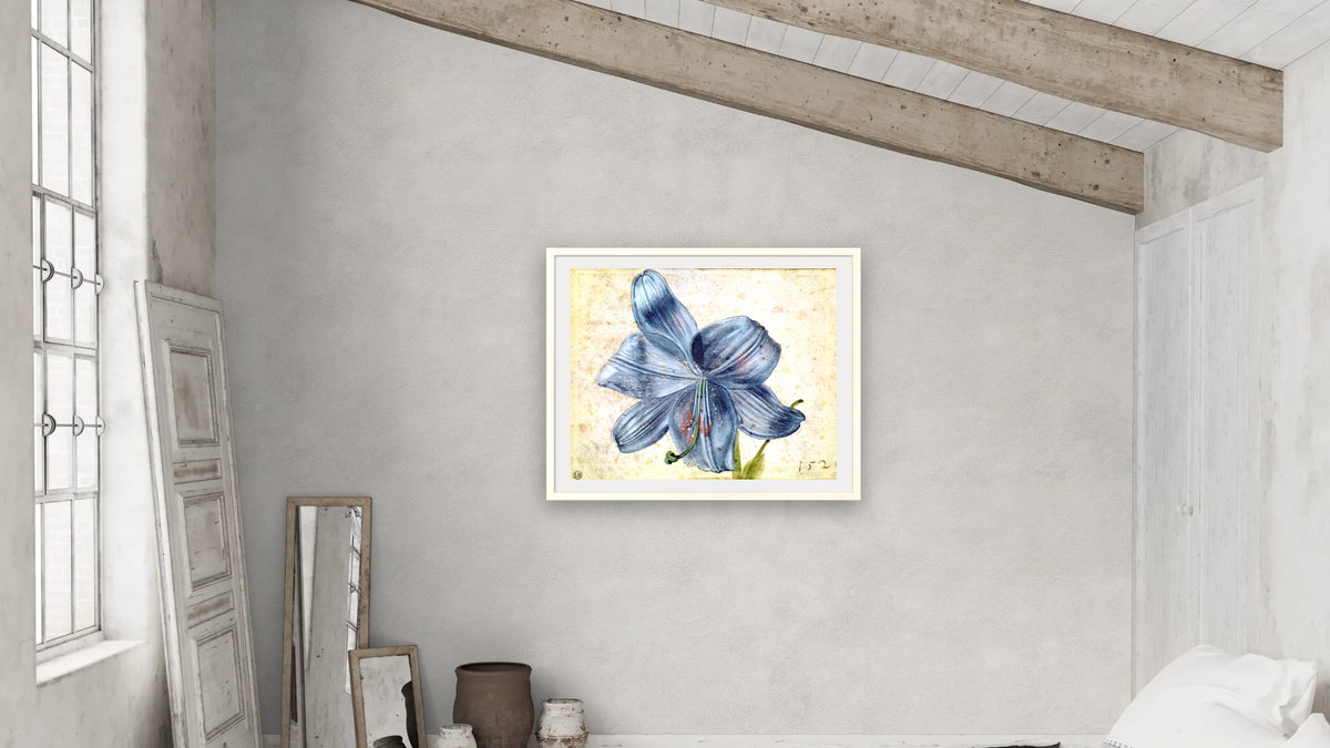 Study of a lily by Albrecht Dürer, shown at 32 × 40 in (81.3 × 101.6 cm) in Ramino Opaque White, bedroom