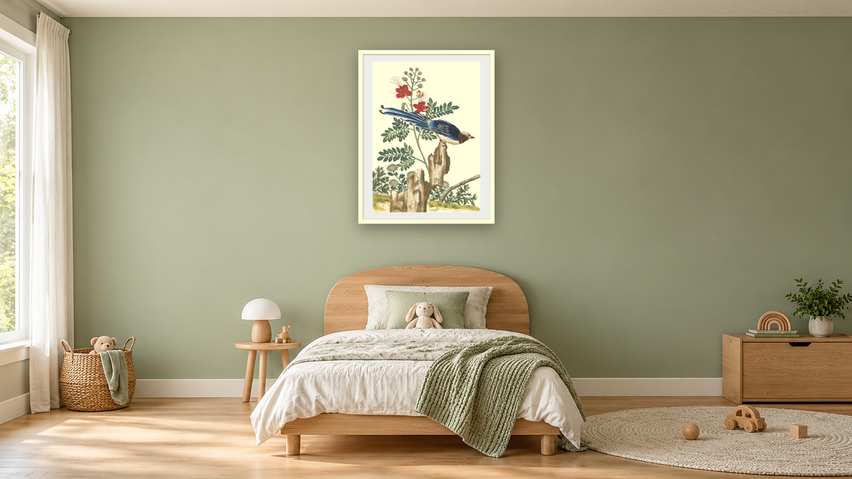 Caesalpinia pulcherrima with blue bird by Pierre Joseph Buchoz, shown at 30 × 40 in (76.2 × 101.6 cm) in Ramino Opaque White, kids' room
