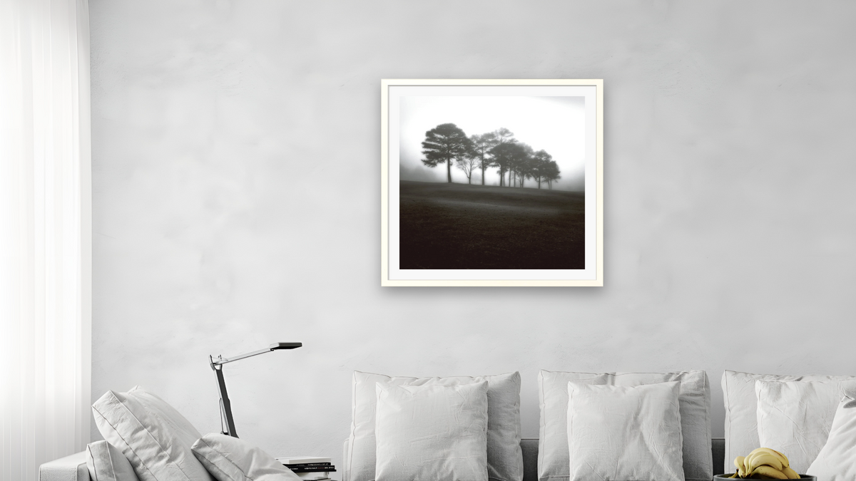 Fog Tree Study 2 by Jamie Cook, shown at 32 × 32 in (81.3 × 81.3 cm) in Ramino Opaque White, living