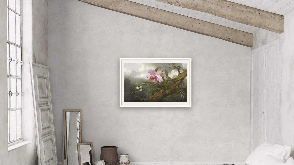 Cattleya Orchid, Two Hummingbirds and a Beetle by Martin Johnson Heade, shown at 28 × 42 in (71.1 × 106.7 cm) in Ramino Opaque White, bedroom