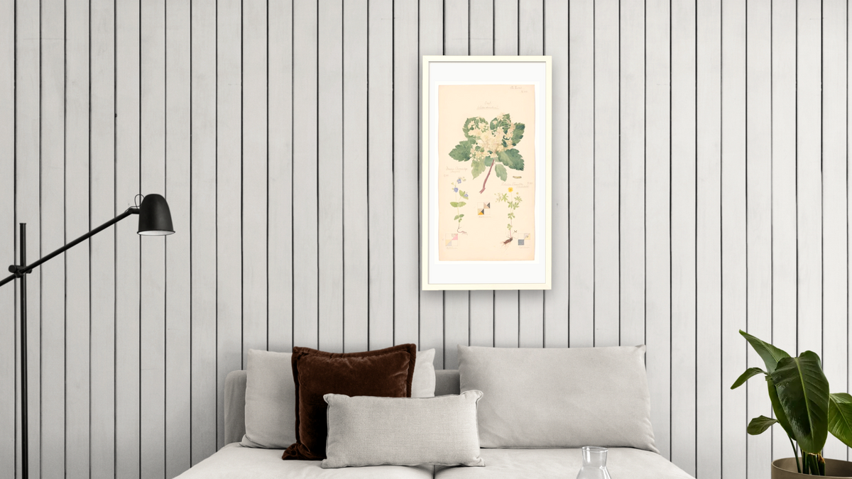 15cul-hilma-af-klint-review-fqkl-superJumbo.jpg by Hilma af Klint, shown at 20 × 40 in (50.8 × 101.6 cm) in Ramino Opaque White, living