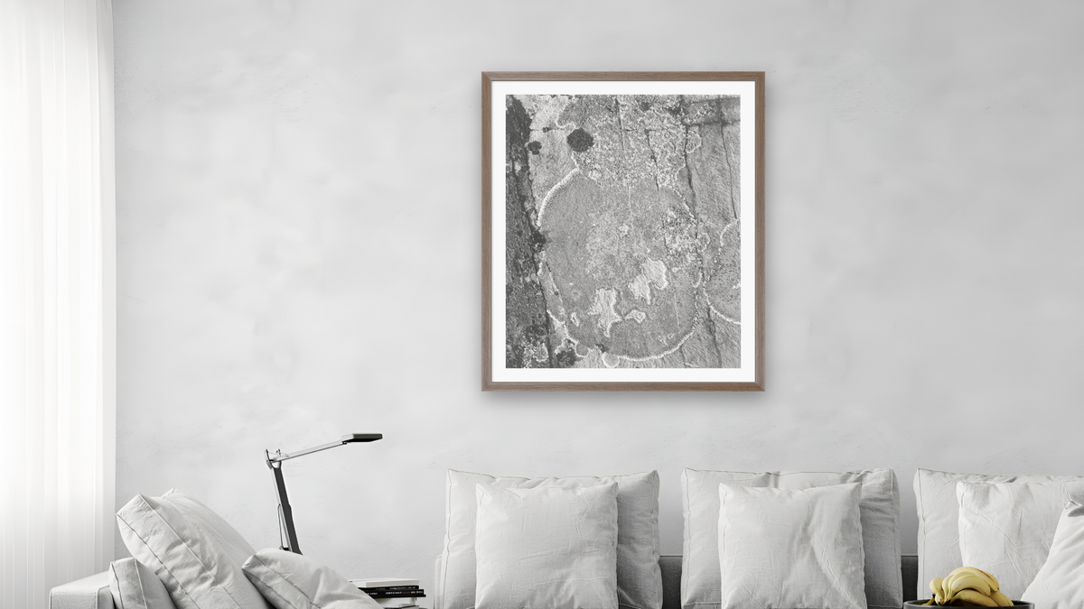 Lichens, Glacier National Park, Montana (detail) by Ansel Adams, shown at 32 × 40 in (81.3 × 101.6 cm) in Arber Light Walnut, living