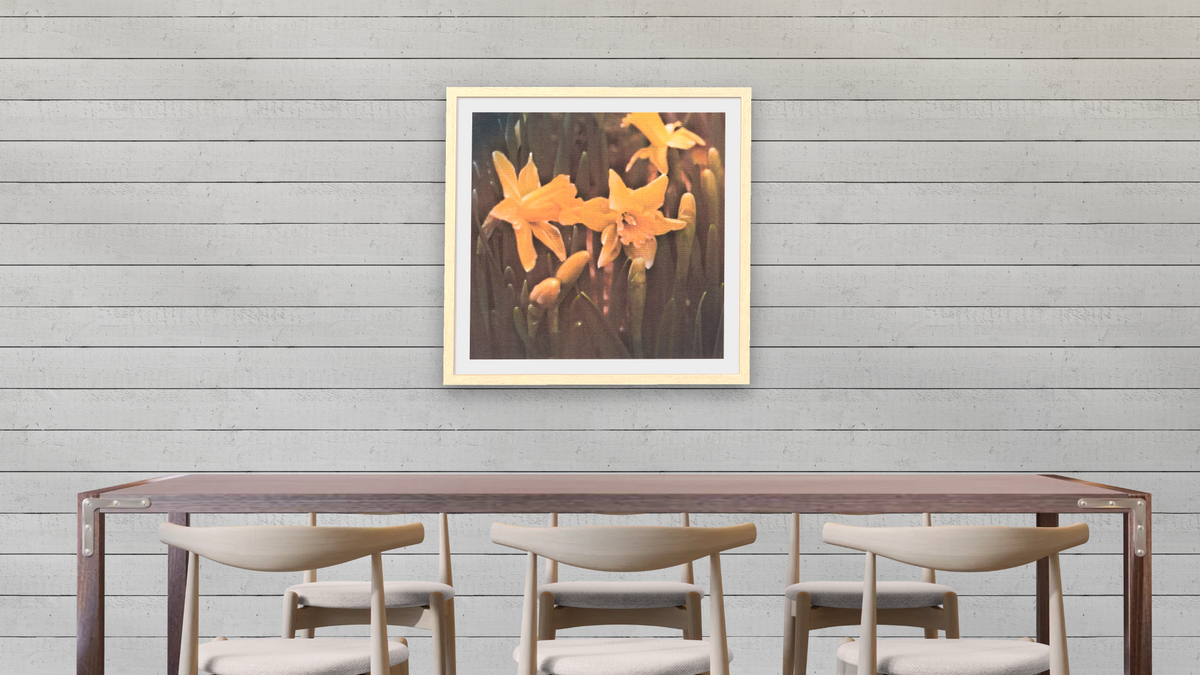 Daffodils by Kirsten Söderlind, shown at 32 × 32 in (81.3 × 81.3 cm) in Arber Natural, dining