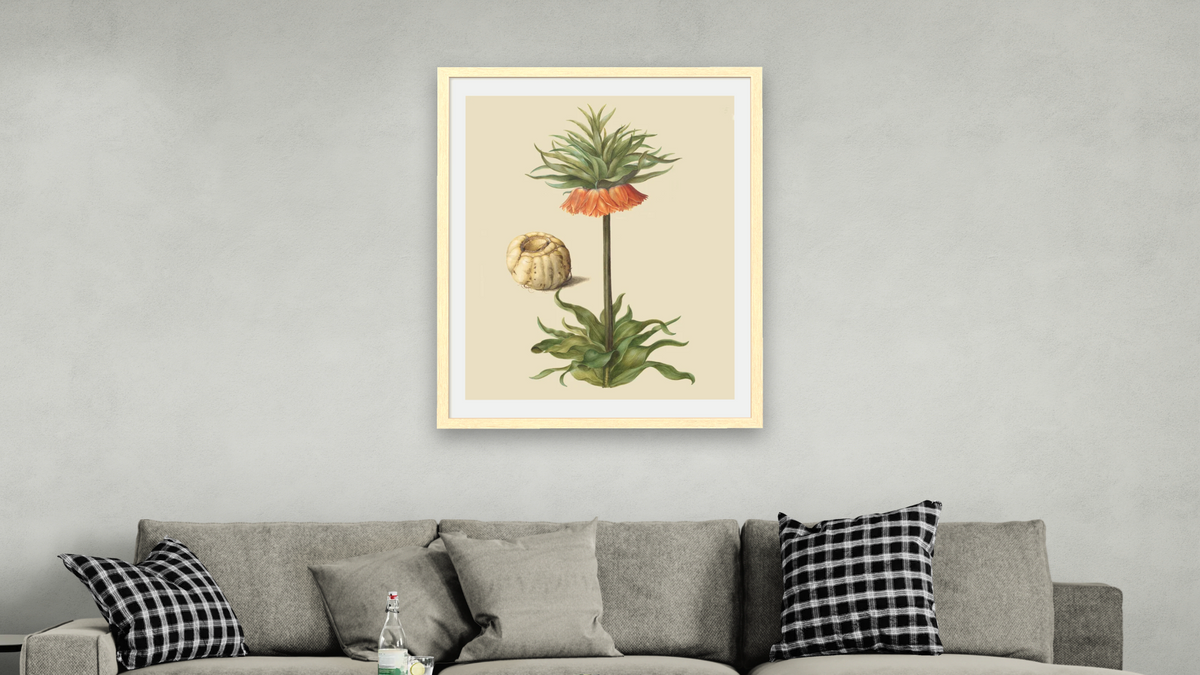 Fritillaria imperialis by Johannes Simon Holtzbecher, shown at 30 × 40 in (76.2 × 101.6 cm) in Arber Natural, living