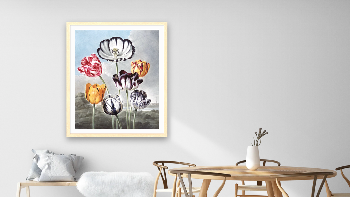 Tulips by Robert John Thornton, shown at 32 × 40 in (81.3 × 101.6 cm) in Arber Natural, dining
