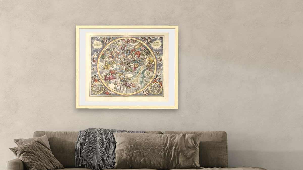 Plate 23 from Harmonia Macrocosmica by Andreas Cellarius, shown at 32 × 40 in (81.3 × 101.6 cm) in Arber Natural, living