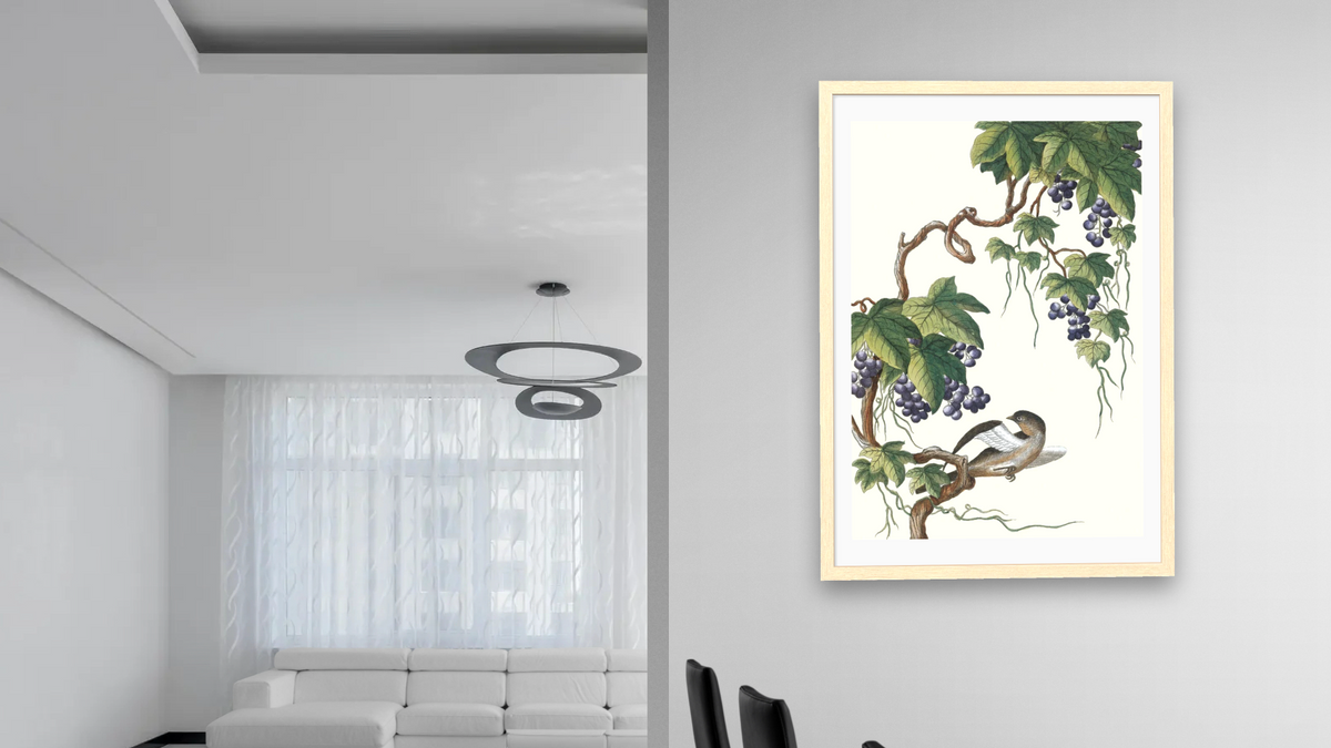 Grapes on vine with bird by Pierre Joseph Buchoz, shown at 28 × 42 in (71.1 × 106.7 cm) in Arber Natural, dining