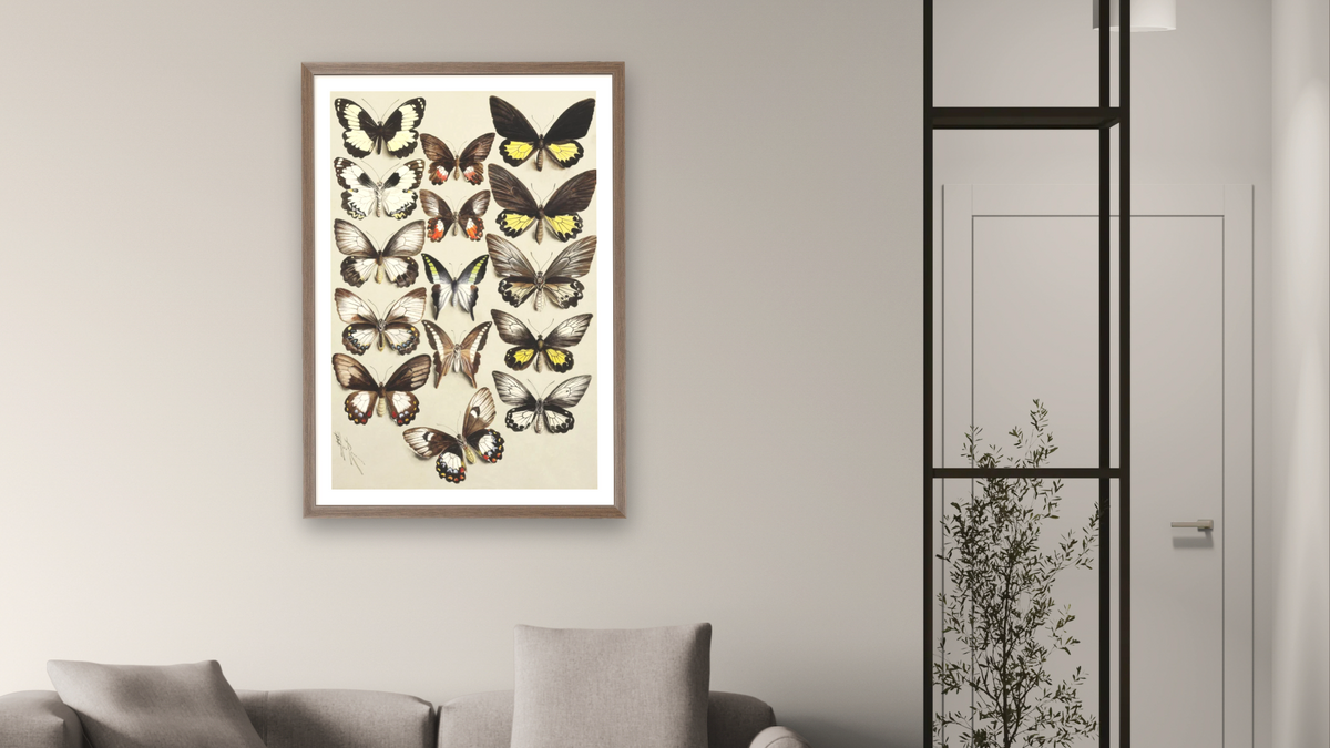 Fifteen Swallowtail butterflies (Family Papilionidae) in three columns by Marian Ellis Rowan, shown at 28 × 42 in (71.1 × 106.7 cm) in Arber Light Walnut, living
