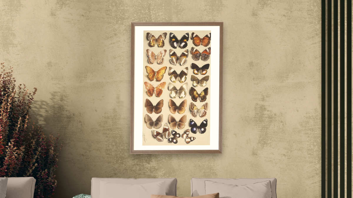 Twenty-two butterflies in three columns, all belonging to the family Nymphalidae by Marian Ellis Rowan, shown at 28 × 42 in (71.1 × 106.7 cm) in Arber Light Walnut, living