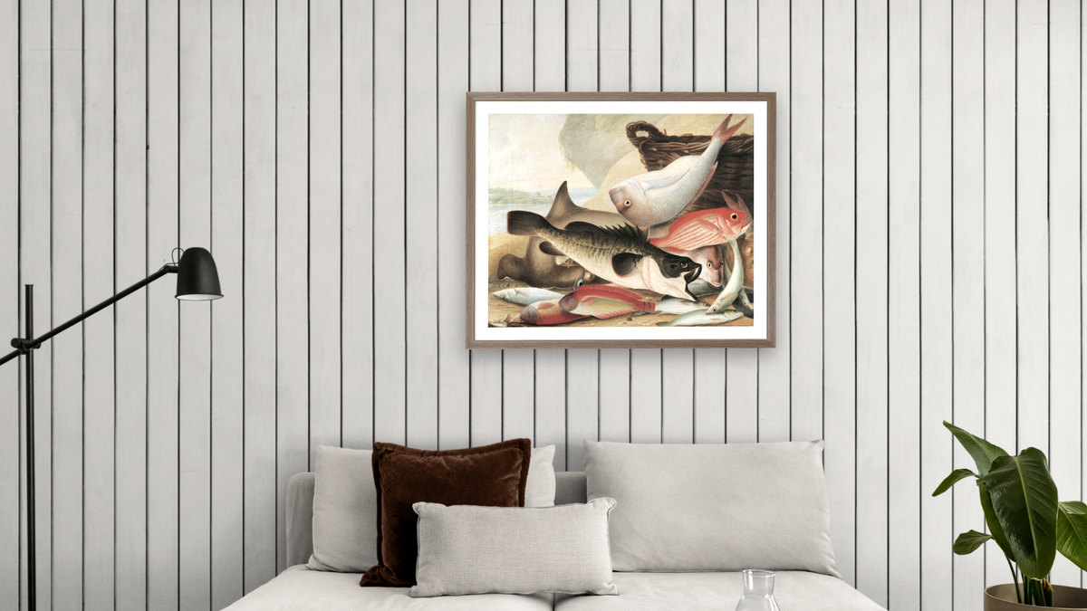 Fish Catch and Dawes Point, Sydney Harbour, shown at 32 × 40 in (81.3 × 101.6 cm) in Arber Light Walnut, living