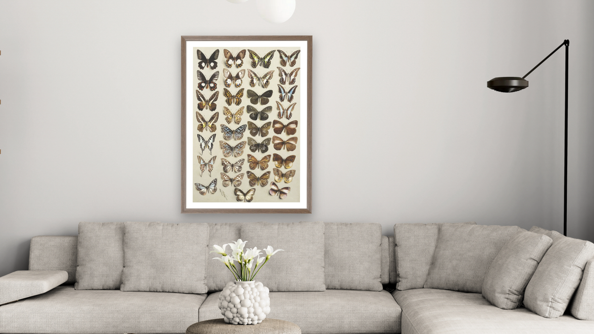 Thirty-three butterflies, in four columns, belonging to the Papilionidae and Danainae families by Marian Ellis Rowan, shown at 28 × 42 in (71.1 × 106.7 cm) in Arber Light Walnut, living