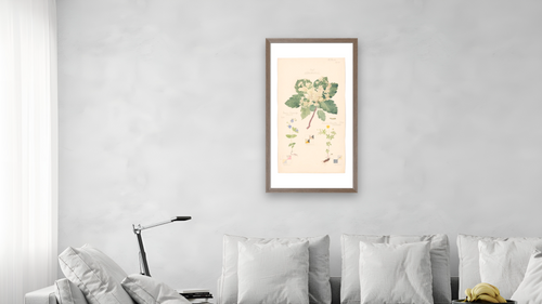 15cul-hilma-af-klint-review-fqkl-superJumbo.jpg by Hilma af Klint, shown at 20 × 40 in (50.8 × 101.6 cm) in Arber Light Walnut, living [arteriel-render:v6:room_b:20x40@57,38]