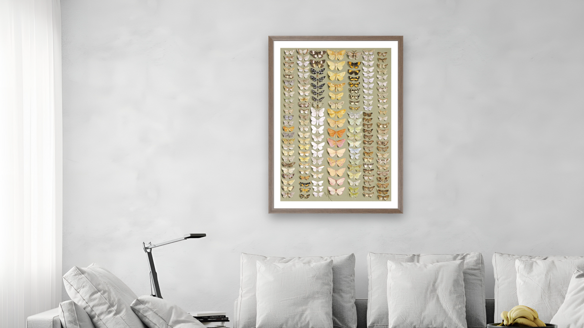 One Hundred and Fifty-Eight Moths by Ellis Rowan, shown at 28 × 42 in (71.1 × 106.7 cm) in Arber Light Walnut, living