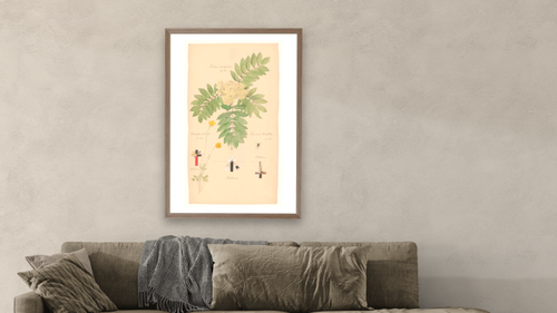 15cul-hilma-af-klint-review-mwcg-superJumbo.jpg by Hilma af Klint, shown at 28 × 42 in (71.1 × 106.7 cm) in Arber Light Walnut, living [arteriel-render:v6:room_b:28x42@42,39]