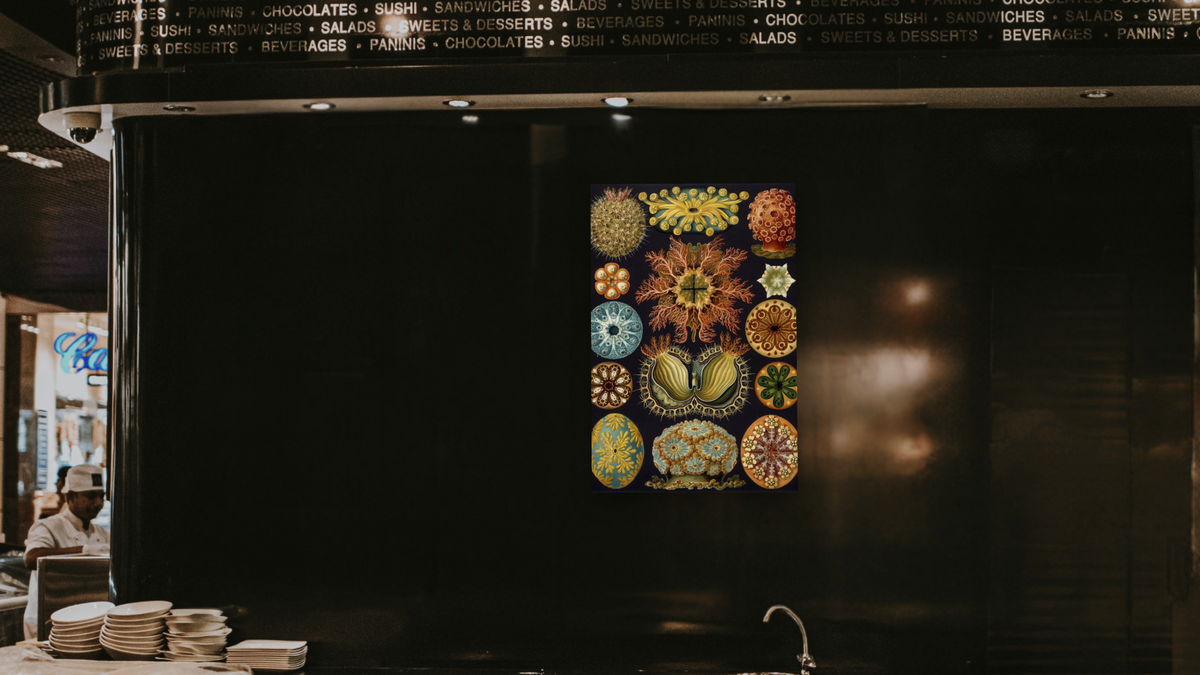 Illustration of Ascidiacea by Ernst Haeckel, shown at 28 × 42 in (71.1 × 106.7 cm) as gallery-wrapped canvas, restaurant