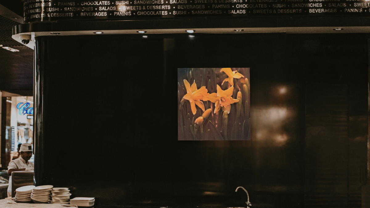 Daffodils by Kirsten Söderlind, shown at 32 × 32 in (81.3 × 81.3 cm) as gallery-wrapped canvas, restaurant