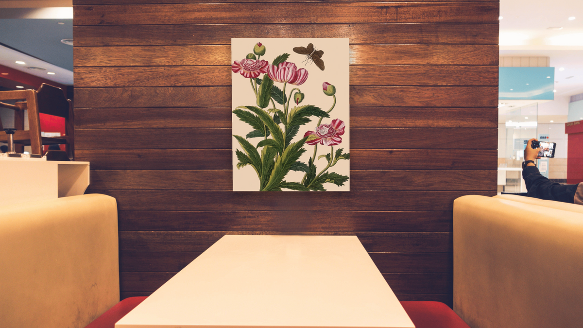 Red and white striped poppy with moth by Pierre Joseph Buchoz, shown at 30 × 40 in (76.2 × 101.6 cm) as gallery-wrapped canvas, restaurant