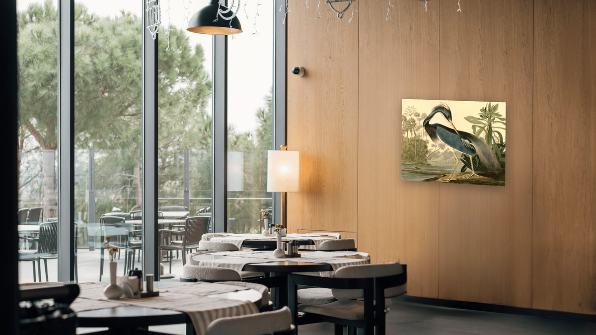 Louisiana Heron by John James Audubon, shown at 32 × 40 in (81.3 × 101.6 cm) as gallery-wrapped canvas, restaurant