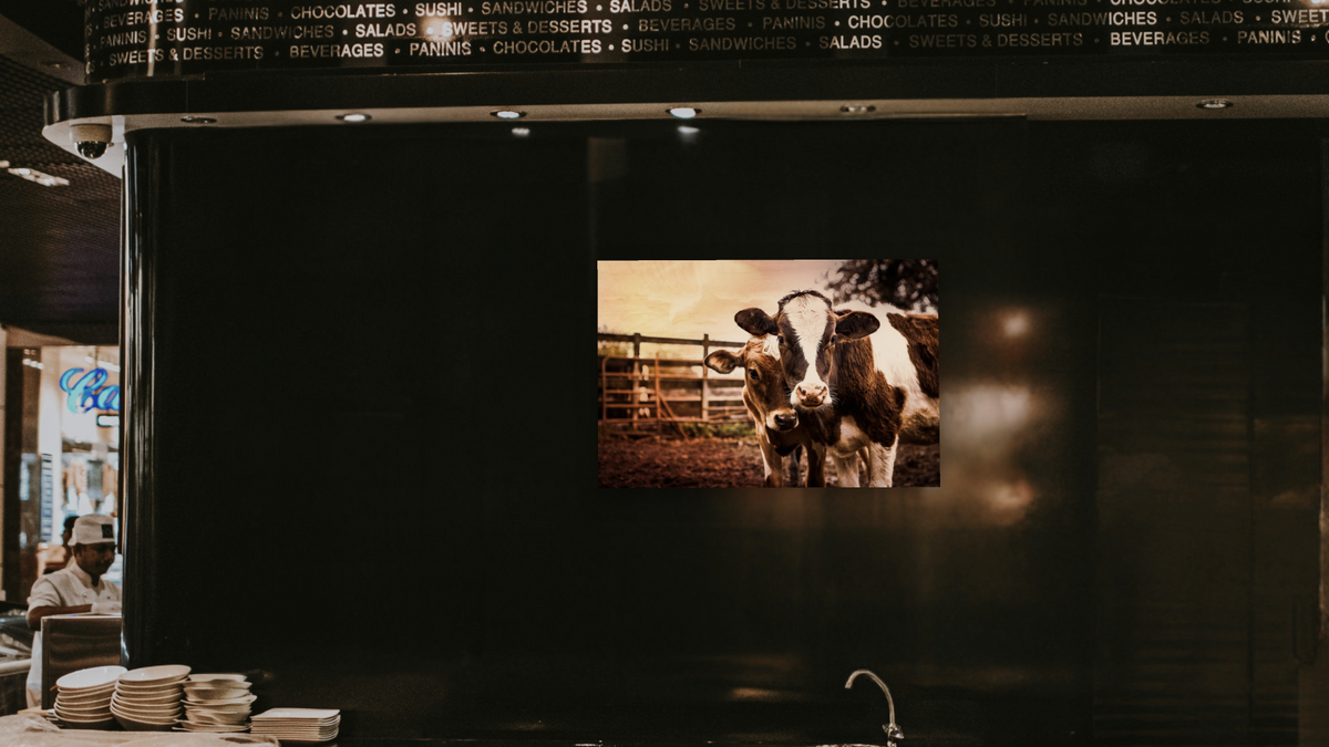 Pals III by Brandon Luther, shown at 28 × 42 in (71.1 × 106.7 cm) as gallery-wrapped canvas, restaurant