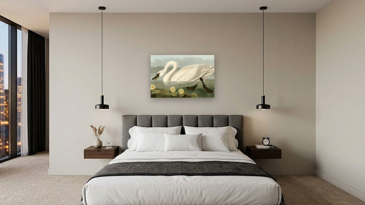 Common American Swan by John James Audubon, shown at 28 × 42 in (71.1 × 106.7 cm) as gallery-wrapped canvas, hotel guest room