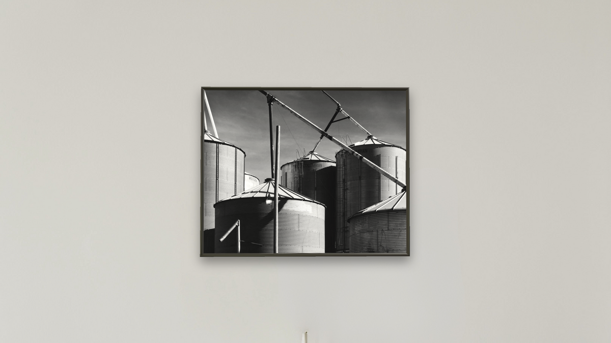 Coop Feeds by Gordon Osmundson, shown at 32 × 40 in (81.3 × 101.6 cm) on canvas in Ramino Satin Black, boardroom