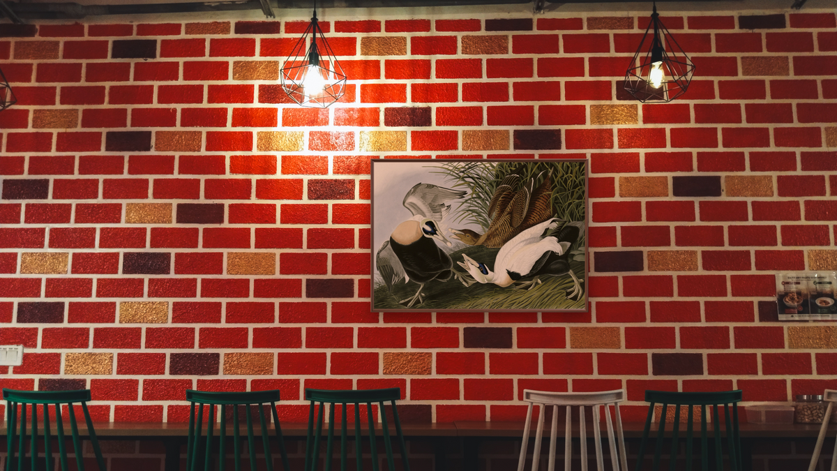Eider Duck by John James Audubon, shown at 28 × 42 in (71.1 × 106.7 cm) on canvas in Arber Warm Walnut, restaurant