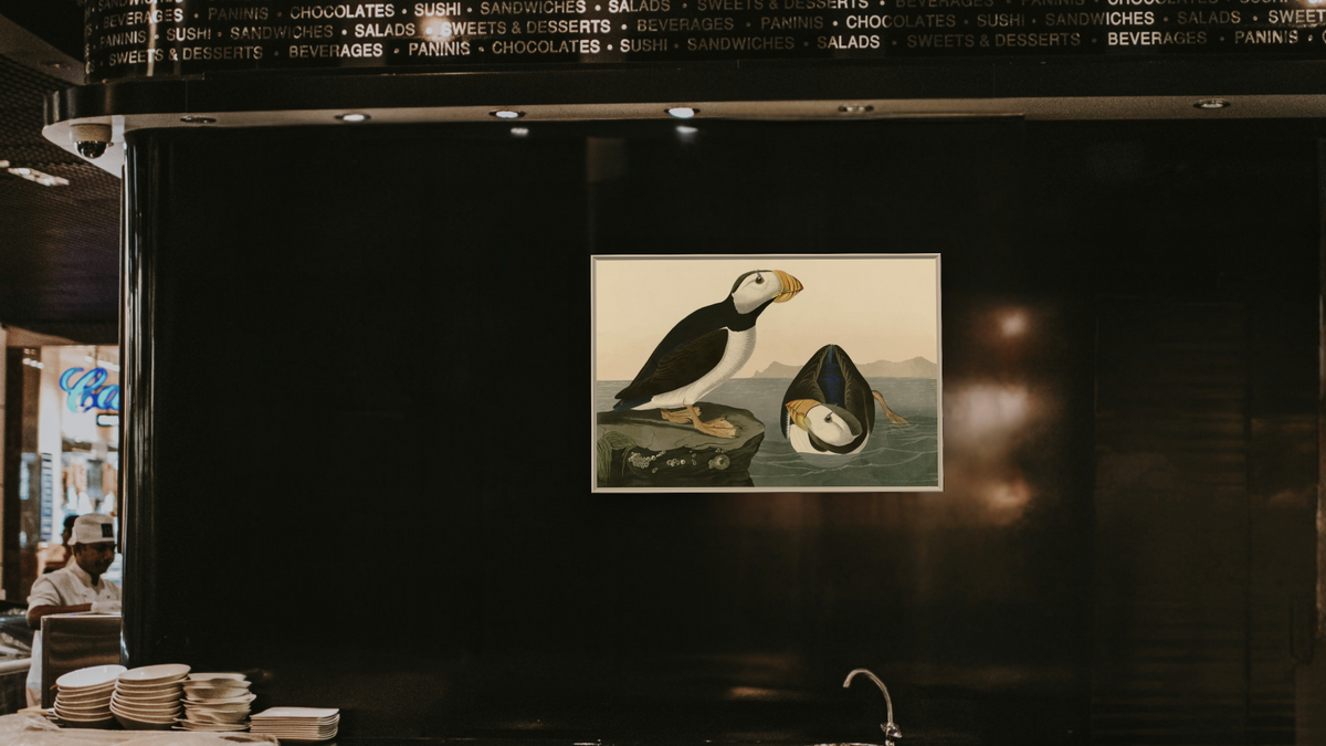 Large Billed Puffin by John James Audubon, shown at 28 × 42 in (71.1 × 106.7 cm) on canvas in Ramino Opaque White, restaurant